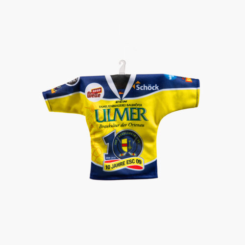 Mini-Trikot Heimspiel
